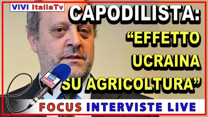 mercato agricolo